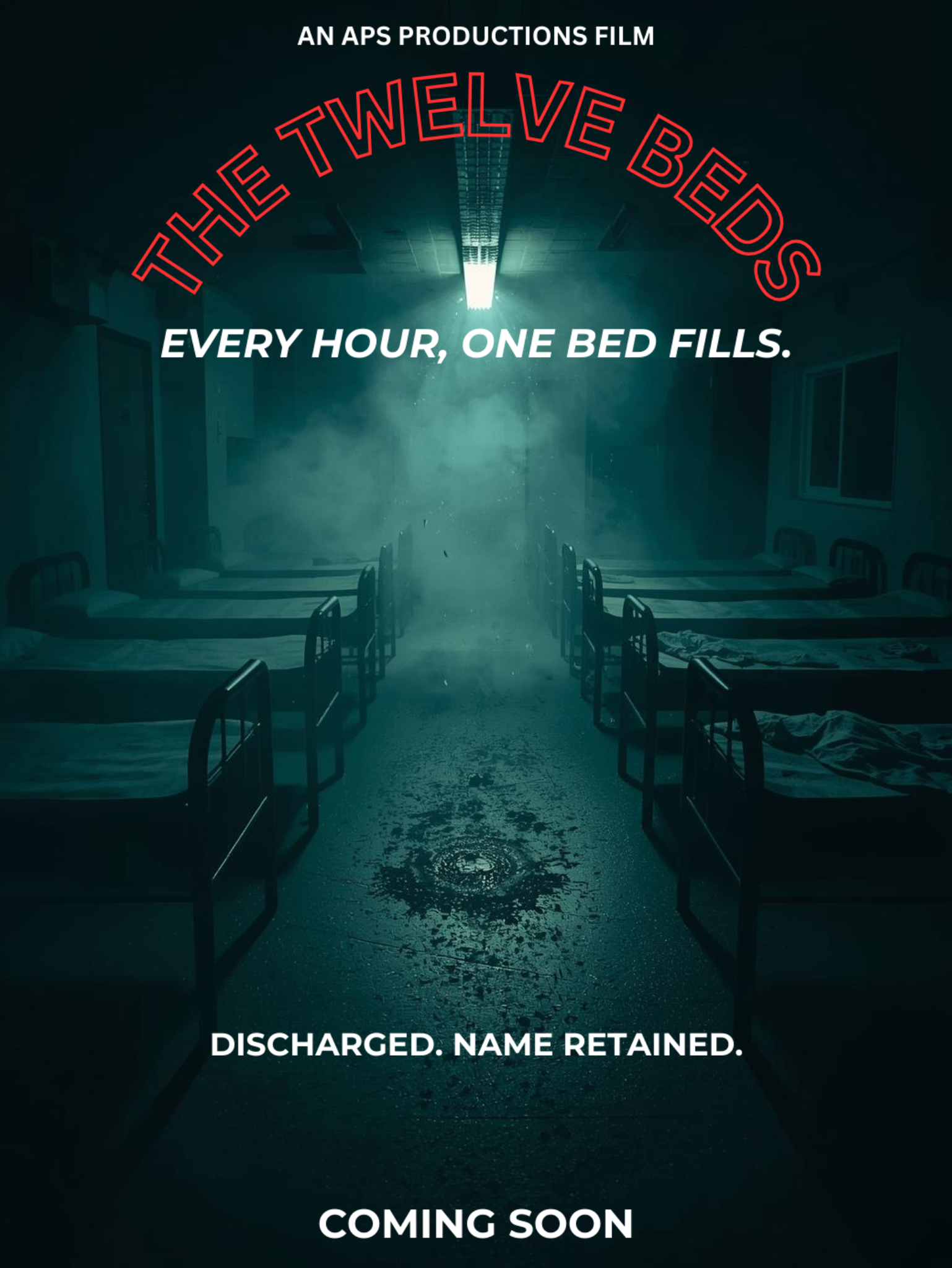 The Twelve Beds poster